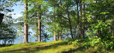 Discover the stunning lakefront property on the idyllic Simms - photo 8