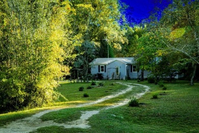 Lake Eufaula / Walter F George Reservoir Home For Sale in Abbeville Alabama