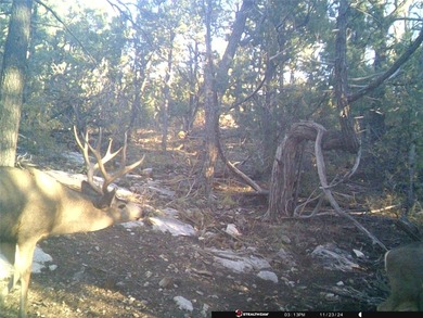 History, heritage, & the spirit of the West converge. Set - photo 47