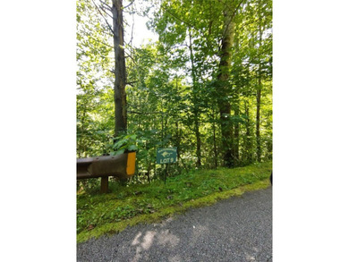 Lake Glenville Acreage For Sale in Cullowhee North Carolina