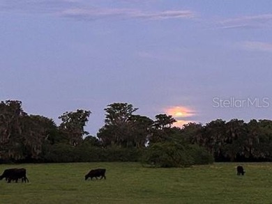 Quite Possibly the BEST LAKEFRONT LOT available in Osceola - photo 9