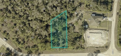 Lehigh Acres Area Lot For Sale in Lehigh Acres Florida