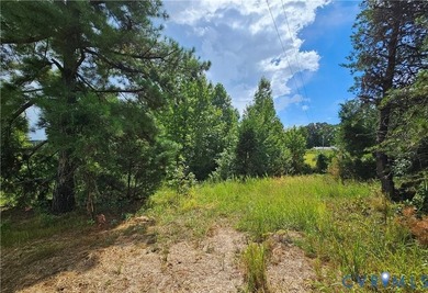 Lake Anna Waterfront Lot - 2 Acres, Lot partially cleared! - photo 14