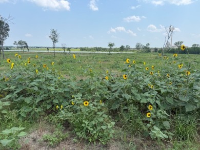 Waterfront Lot 2+ Acres - New Subdivision! - photo 29