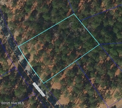 Neuse River Lot For Sale in Oriental North Carolina