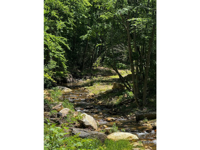 Escape to your own private riverside retreat with this - photo 3