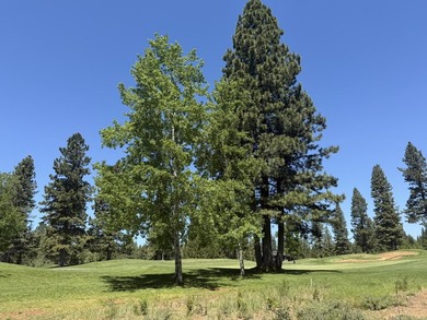 Prime golf-course lot located along the 3rd fairway of the - photo 4