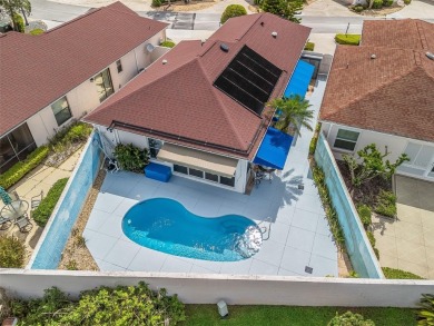 Lake Home For Sale in Lady Lake, Florida