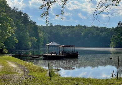 Your Perfect Mountain Escape! Daisy Log is Luxury at its finest - photo 58