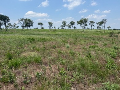 Waterfront Lot 2+ Acres - New Subdivision! - photo 36