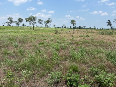 Waterfront Lot 2+ Acres - New Subdivision! - photo 21