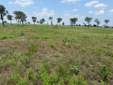 Waterfront Lot 2+ Acres - New Subdivision! - photo 8
