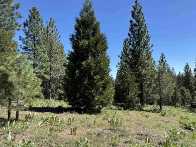 Discover the opportunity to build your dream mountain retreat on - photo 2