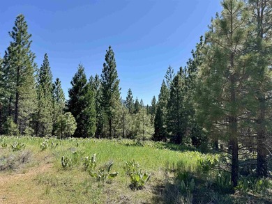 Discover the opportunity to build your dream mountain retreat on - photo 3