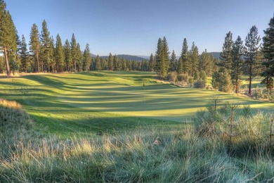 Discover the opportunity to build your dream mountain retreat on - photo 4