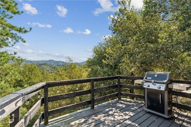 Stunning 4-bed, 4-bath craftsman retreat with unmatched privacy - photo 15