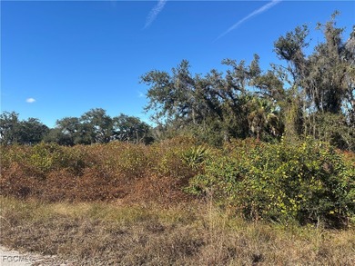 Lehigh Acres Area Lot For Sale in Lehigh Acres Florida