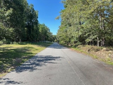 Lake Marion Lot For Sale in Santee South Carolina