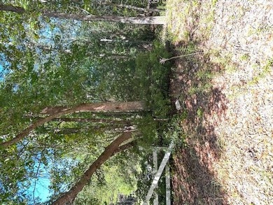 This Lake Marion area land near Santee State Park and minutes to - photo 2