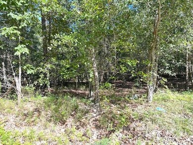 This Lake Marion area land near Santee State Park and minutes to - photo 3