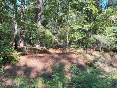 This Lake Marion area land near Santee State Park and minutes to - photo 4