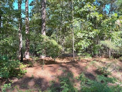 This Lake Marion area land near Santee State Park and minutes to - photo 5