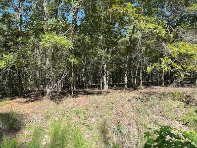 This Lake Marion area land near Santee State Park and minutes to - photo 6
