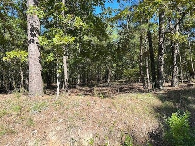 This Lake Marion area land near Santee State Park and minutes to - photo 7