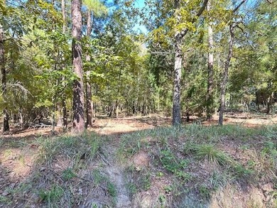 This Lake Marion area land near Santee State Park and minutes to - photo 8