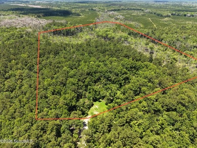 41.27 Acres - Maple Ford Road Discover the perfect blend of - photo 1
