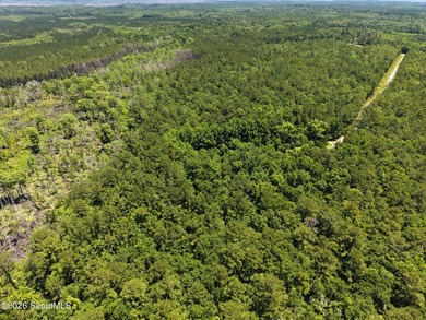 41.27 Acres - Maple Ford Road Discover the perfect blend of - photo 3