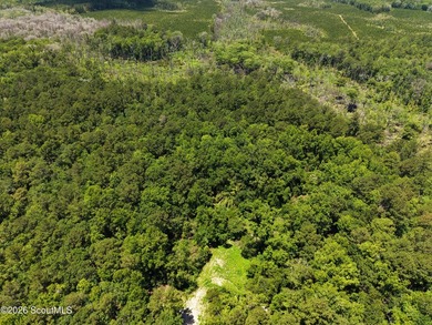 41.27 Acres - Maple Ford Road Discover the perfect blend of - photo 4