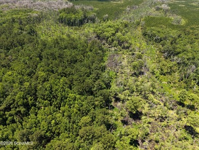 41.27 Acres - Maple Ford Road Discover the perfect blend of - photo 6