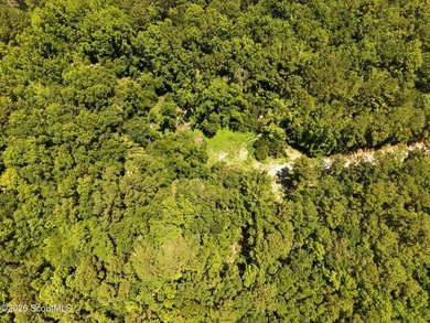 41.27 Acres - Maple Ford Road Discover the perfect blend of - photo 7