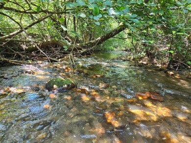 (private lake, pond, creek) Acreage For Sale in Fancy Gap Virginia