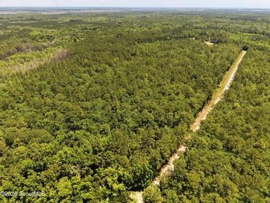 12.60 Acres - Maple Ford Road Discover the perfect blend of - photo 2