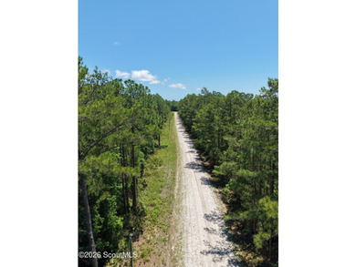 12.60 Acres - Maple Ford Road Discover the perfect blend of - photo 4