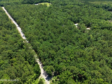 4.45 Acres - Maple Ford Road Discover the perfect blend of - photo 3