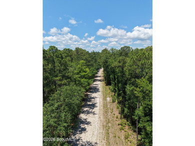 4.45 Acres - Maple Ford Road Discover the perfect blend of - photo 5