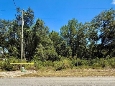 Lake Lot For Sale in Eustis, Florida