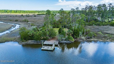 Discover the beauty of coastal Georgia with setting your eyes on - photo 13