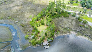 Discover the beauty of coastal Georgia with setting your eyes on - photo 15