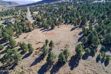 Topaz Lake Acreage For Sale in Gardnerville Nevada