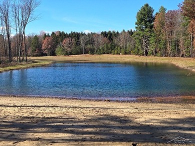 (private lake, pond, creek) Home For Sale in Saint Charles Michigan