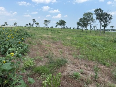 Waterfront Lot 2+ Acres - New Subdivision! - photo 15