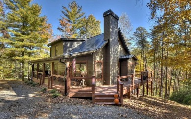 Lake Home For Sale in Ellijay, Georgia