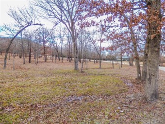 LOOKING FOR A LOT NEAR BLUE WATER WITH A BOAT SLIP OPTION? This - Lake Lot For Sale in Porum, Oklahoma