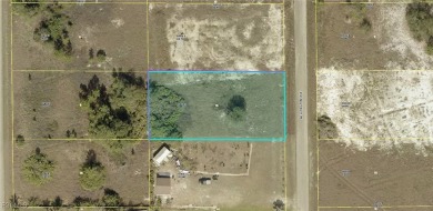 Lehigh Acres Area Lot For Sale in Lehigh Acres Florida