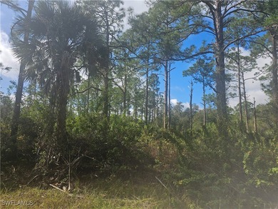 Lehigh Acres Area Lot For Sale in Lehigh Acres Florida