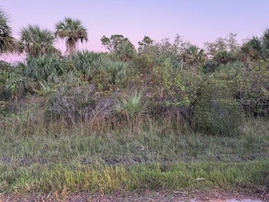 REDUCED PRICE on this VACANT LOT located in a developing area of - photo 3